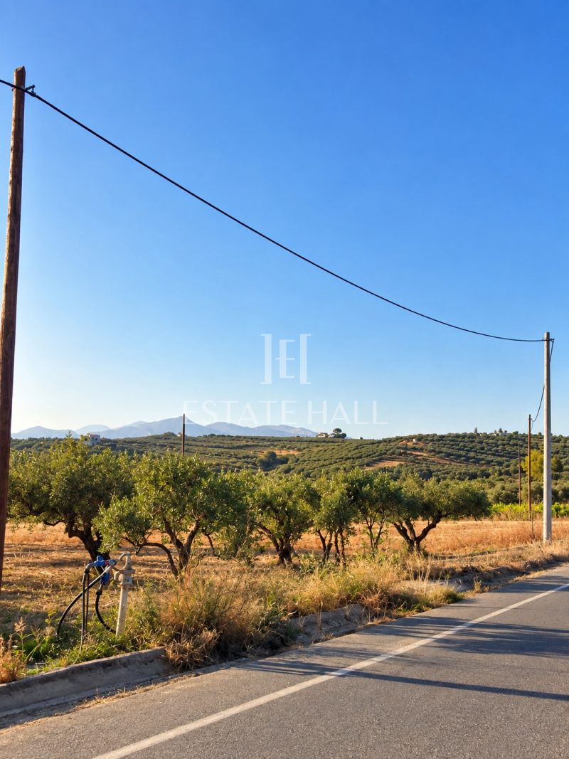 property-img